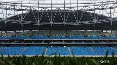 王楚钦勇夺世乒赛男子单打桂冠