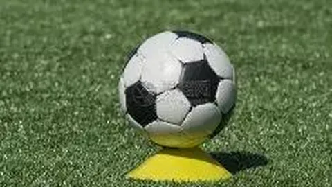 贪玩娱乐 产品 120556 ppy