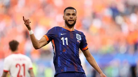 里尔与南特较量主场平分秋色